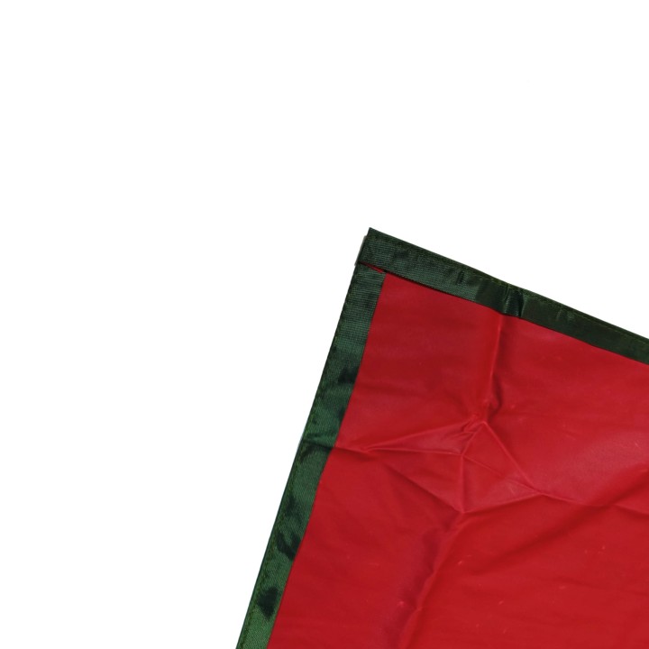 p33.jpg